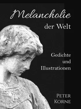 Peter Korne Melancholie der Welt обложка книги