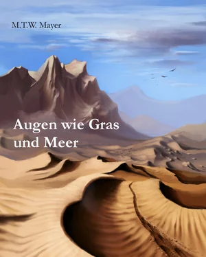 M.T.W. Mayer Augen wie Gras und Meer обложка книги