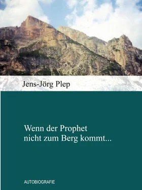 Jens-Jörg Plep Wenn der Prophet nicht zum Berg kommt... обложка книги