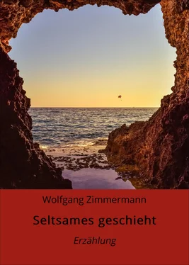 Wolfgang Zimmermann Seltsames geschieht обложка книги