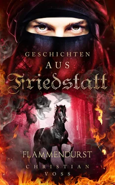 Christian Voss Geschichten aus Friedstatt Band 2: Flammendurst обложка книги