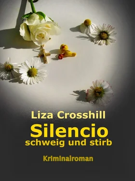 Heike Wolter SILENCIO обложка книги