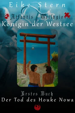 Eike Stern Der Tod des Houke Nowa обложка книги