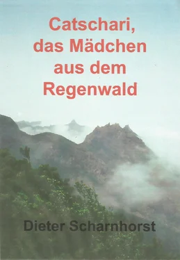 Dieter Scharnhorst Catschari, das Mädchen aus dem Regenwald обложка книги