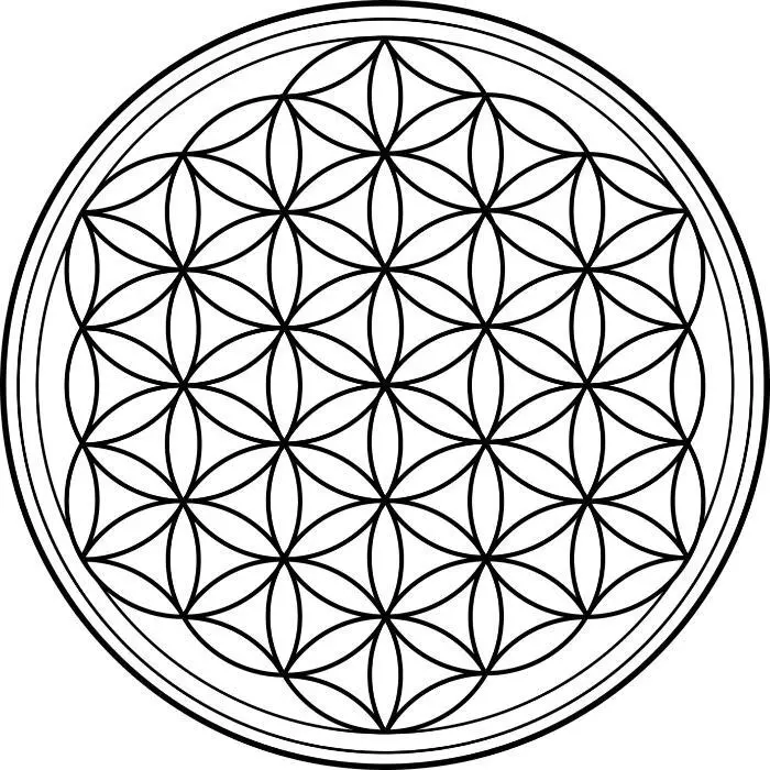 Die Meditation Einführung in die meditative Praxis Das - фото 2