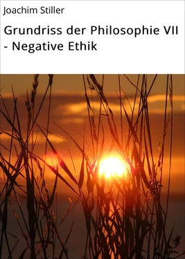 Joachim Stiller Grundriss der Philosophie VII - Negative Ethik обложка книги