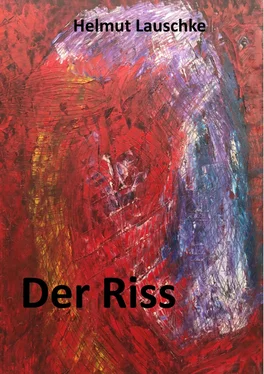 Helmut Lauschke Der Riss обложка книги