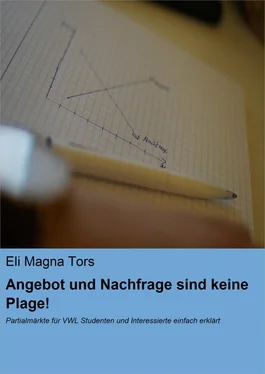 Eli Magna Tors Angebot und Nachfrage sind keine Plage! обложка книги