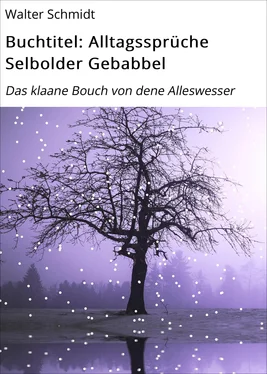 Walter Schmidt Buchtitel: Alltagssprüche Selbolder Gebabbel обложка книги