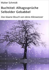Walter Schmidt - Buchtitel - Alltagssprüche Selbolder Gebabbel