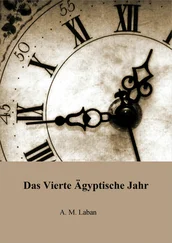 Abdel Moneim Laban - Das vierte ägyptische Jahr