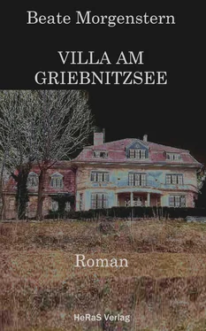 Beate Morgenstern Villa am Griebnitzsee обложка книги
