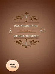 Mel Mae Schmidt - Das Wunder vom Weihnachtsgeist