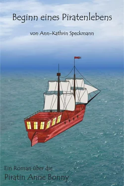 Ann-Kathrin Speckmann Beginn eines Piratenlebens обложка книги