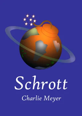 Charlie Meyer Schrott обложка книги