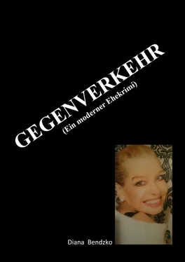 Diana Bendzko Gegenverkehr обложка книги