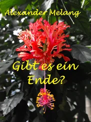 Alexander Melang - Gibt es ein Ende?