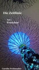 Carolin Frohmader - Die Zeitlinie