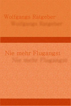 Wolfgangs Ratgeber Nie mehr Flugangst обложка книги