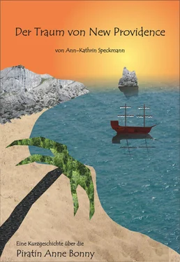 Ann-Kathrin Speckmann Der Traum von New Providence обложка книги