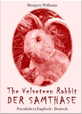 Margery Williams The Velveteen Rabbit Der Samthase обложка книги