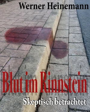 Werner Heinemann Blut im Rinnstein обложка книги