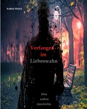 Kathrin Ehrlich Verfangen im Liebeswahn обложка книги