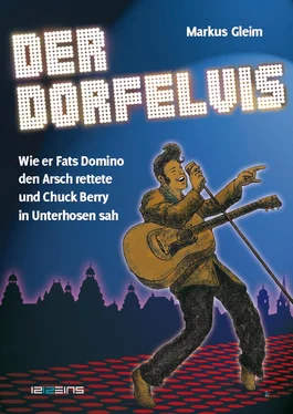Markus Gleim Der Dorfelvis обложка книги