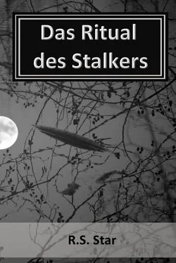 R.S. Star Das Ritual des Stalkers обложка книги