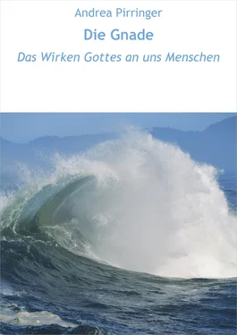 Andrea Pirringer Die Gnade обложка книги