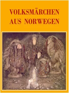 Anne Graves Volksmärchen aus Norwegen обложка книги