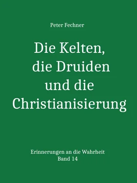 Peter Fechner Die Kelten, die Druiden und die Christianisierung обложка книги