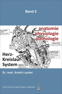 André Lauber Anatomie – Physiologie – Pathologie обложка книги