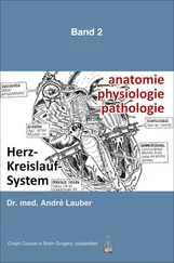 André Lauber - Anatomie – Physiologie – Pathologie