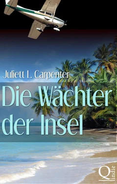 Juliett L. Carpenter Die Wächter der Insel обложка книги