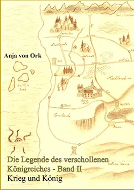 Anja Von Ork Krieg und König обложка книги