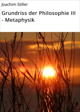 Joachim Stiller Grundriss der Philosophie III - Metaphysik обложка книги