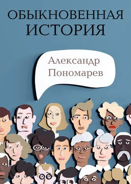 Александр Пономарев Обыкновенная история обложка книги