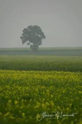 Loreen Mildner - 50 Geschichten zum Gruseln