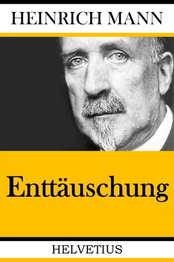 Heinrich Mann Enttäuschung обложка книги
