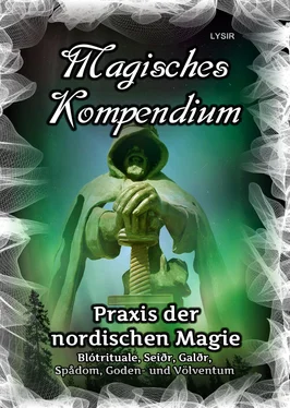 Frater LYSIR Magisches Kompendium - Praxis der nordischen Magie обложка книги