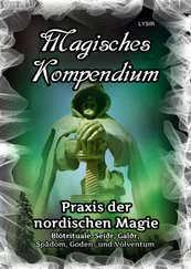 Frater LYSIR - Magisches Kompendium - Praxis der nordischen Magie