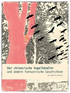 Gabriele Bärtels Der chinesische Vogelhändler обложка книги
