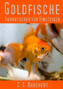 C. C. Brüchert Tierratgeber für Einsteiger - Goldfische обложка книги