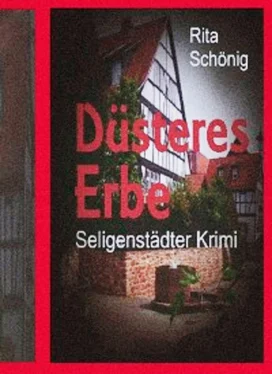 Rita Renate Schönig Düsteres Erbe обложка книги