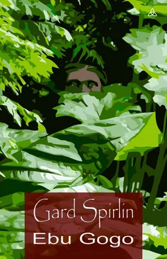 Gard Spirlin Ebu Gogo обложка книги