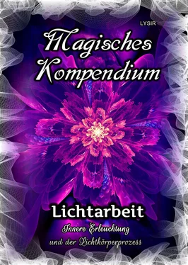 Frater LYSIR Magisches Kompendium - Lichtarbeit обложка книги