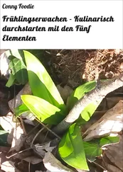 Conny Foodie - Frühlingserwachen - Kulinarisch durchstarten mit den Fünf Elementen