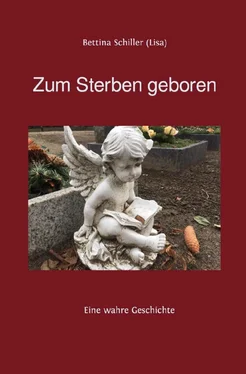 Bettina Schiller Zum Sterben geboren обложка книги