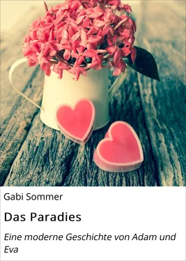 Gabi Sommer Das Paradies обложка книги